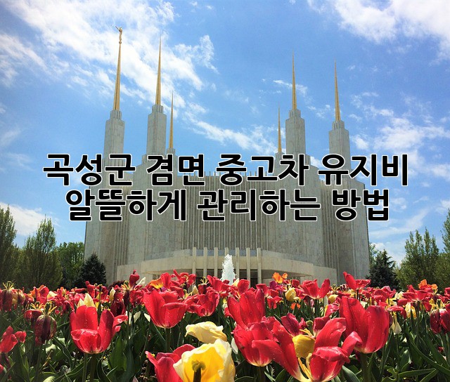 8a334aaf1220b59d12e9a2c1304af477.jpg
