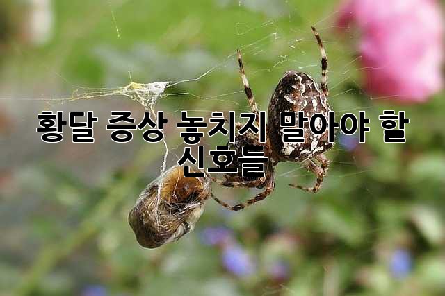 bd30e6d7b65b8861f75f5ca4fb2c3955.jpg