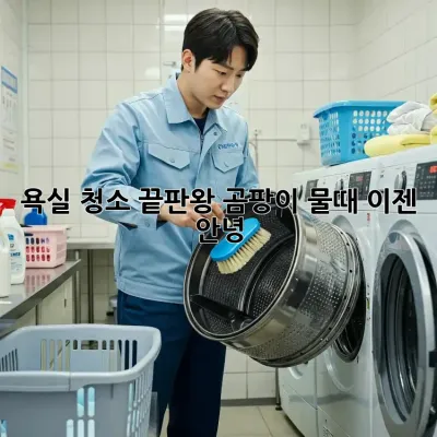 욕실 청소 끝판왕! 곰팡이, 물때 이젠 안녕 👋