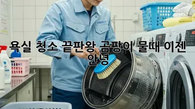 욕실 청소 끝판왕! 곰팡이, 물때 이젠 안녕 👋