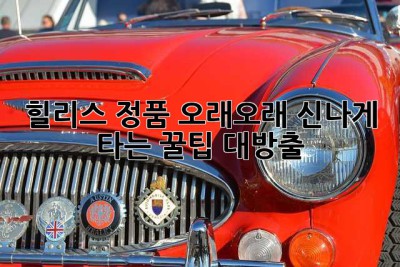 힐리스 정품, 오래오래 신나게 타는 꿀팁 대방출!