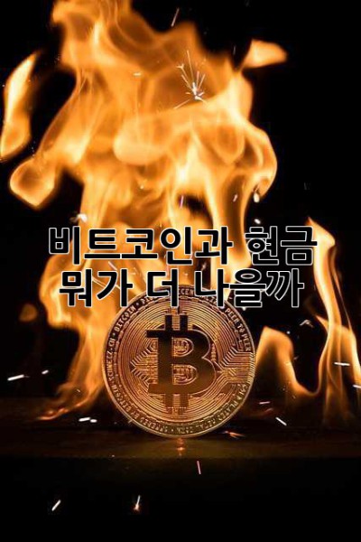 비트코인과 현금, 뭐가 더 나을까? 🤔