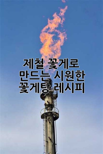제철 꽃게로 만드는 시원한 꽃게탕 레시피🦀