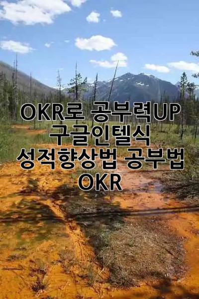 OKR로 공부력🚀UP! 구글&인텔식 성적향상법✨ #공부법 #OKR