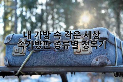 내 가방 속 작은 세상: 속가방판 종류별 정복기! ✨