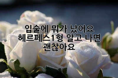 입술에 뭐가 났어요? 헤르페스1형, 알고 나면 괜찮아요 😊