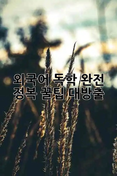 외국어 독학 완전 정복 꿀팁 대방출! 📚✨