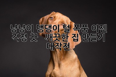 냥냥이 댕댕이 털 폭풍? 이젠 걱정 끗! ✨  깨끗한 집 만들기 대작전!