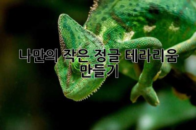 나만의 작은 정글, 테라리움 만들기🌿