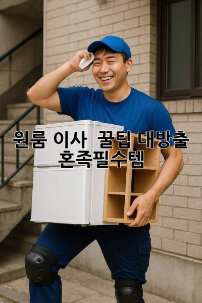 원룸 이사 📦 꿀팁 대방출! 혼족필수템 ✨