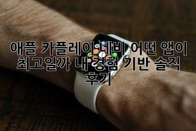 애플 카플레이 네비, 어떤 앱이 최고일까? 내 경험 기반 솔직 후기!