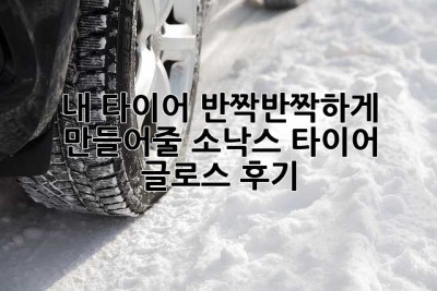 내 타이어, ✨반짝반짝✨하게 만들어줄 소낙스 타이어 글로스 후기!