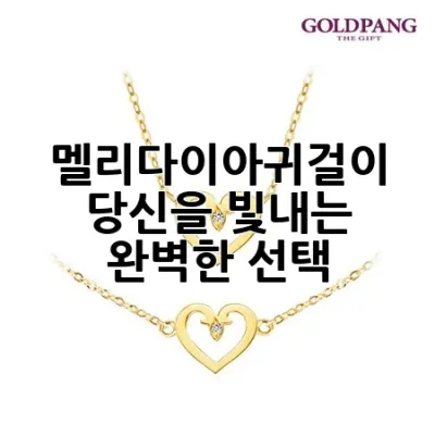 멜리다이아귀걸이: 당신을 빛내는 완벽한 선택 ✨