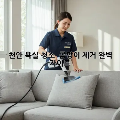 천안 욕실 청소 & 곰팡이 제거 완벽 가이드