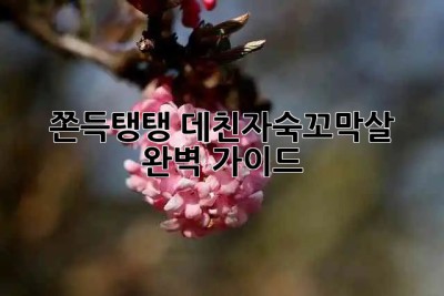 쫀득탱탱! 데친자숙꼬막살 완벽 가이드✨