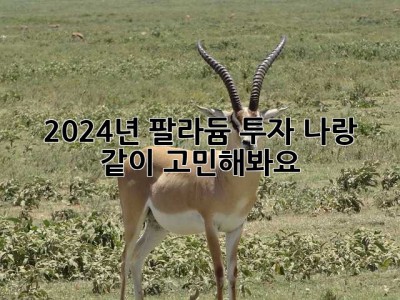 2024년, 팔라듐 투자? 나랑 같이 고민해봐요! ✨