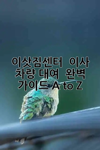 이삿짐센터 🆚 이사 차량 대여 🚚 완벽 가이드 A to Z