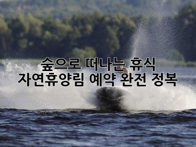 숲으로 떠나는 휴식, 자연휴양림 예약 완전 정복!