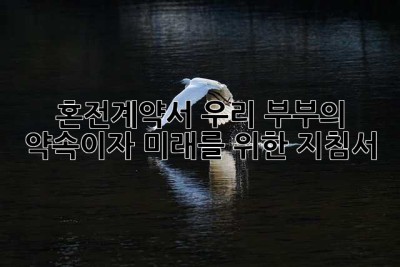 혼전계약서, 우리 부부의 약속이자 미래를 위한 지침서