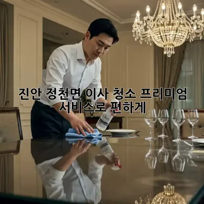 진안 정천면 이사 청소? 프리미엄 서비스로 편하게! ✨