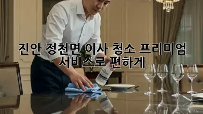 진안 정천면 이사 청소? 프리미엄 서비스로 편하게! ✨