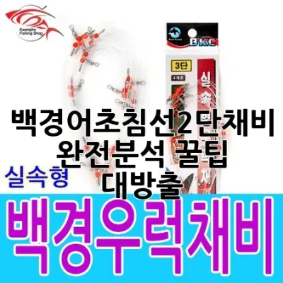 백경어초침선2단채비 완전분석: 꿀팁 대방출!