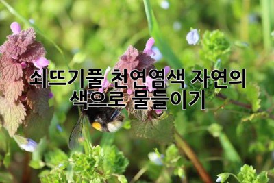 쇠뜨기풀 천연염색: 자연의 색으로 물들이기
