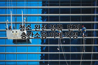 청소 완전 정복 🤩 먼지, 층간소음 이제 걱정 🚫