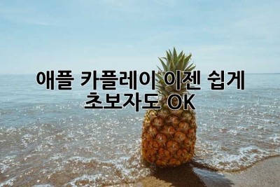 애플 카플레이, 이젠 쉽게! 초보자도 OK 👍