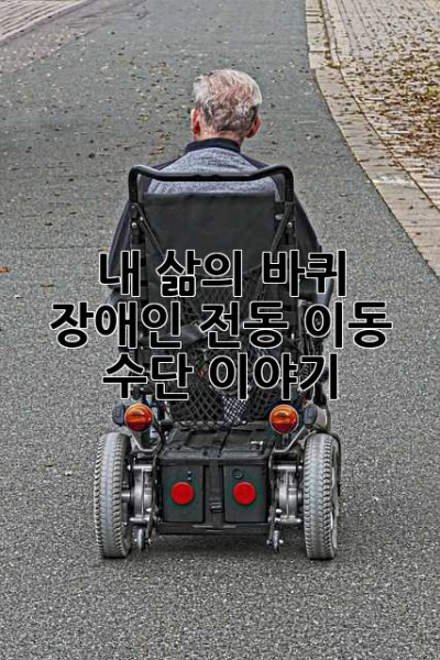 내 삶의 바퀴, 장애인 전동 이동 수단 이야기