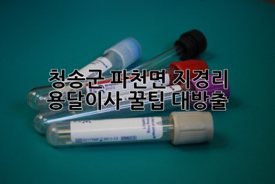 청송군 파천면 지경리 용달이사, 꿀팁 대방출!