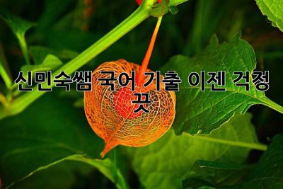 신민숙쌤 국어 기출, 이젠 걱정 끗! 💯