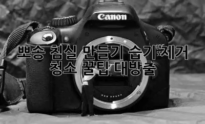 🛌 뽀송 침실 만들기! 습기 제거 청소 꿀팁 대방출 💦