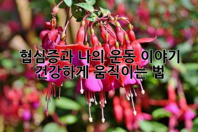 협심증과 나의 운동 이야기: 건강하게 움직이는 법