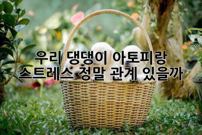 우리 댕댕이, 아토피랑 스트레스, 정말 관계 있을까?