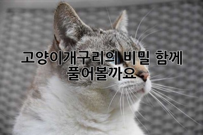 고양이개구리의 비밀, 함께 풀어볼까요?🐸