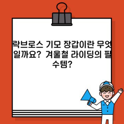 락브로스 기모 장갑: 겨울철 라이딩 필수템 완벽 분석! 추위 걱정 끝!