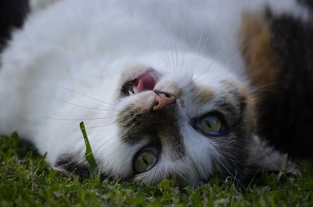 IRR내부수익률008.jpg