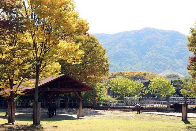 위례과천선006.jpg